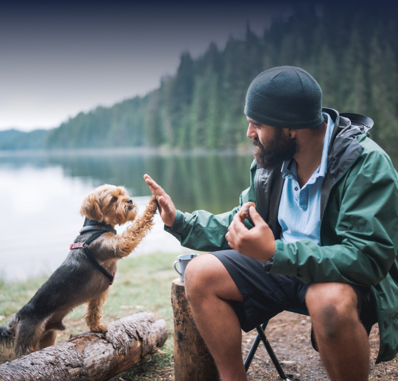 A person and a dog share a playful moment by the lakeside, fostering companionship in nature